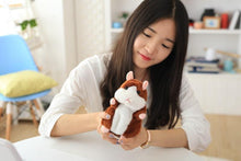 Talking Hamster