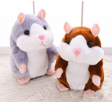 Talking Hamster